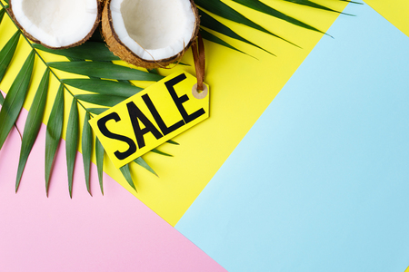 Summer vacation sale, price tag and coconutの写真素材
