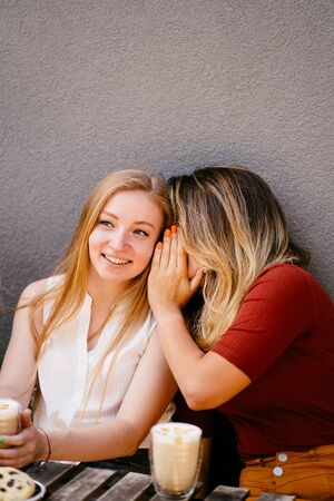 Girl speak secretly to her friendの写真素材