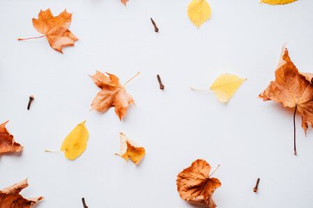 Autumn season abstract backgroundの写真素材