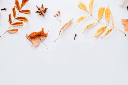 Autumn background, border of dried leaves on whiteの写真素材