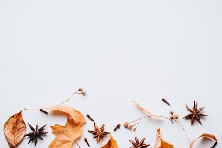 Autumn composition of dried leaves on white backgroundの写真素材