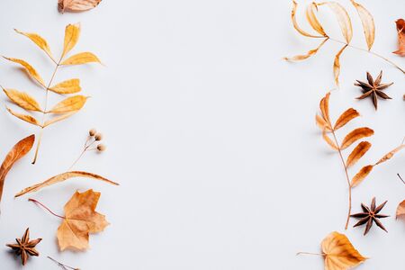 Autumn composition of dried leaves on white backgroundの写真素材