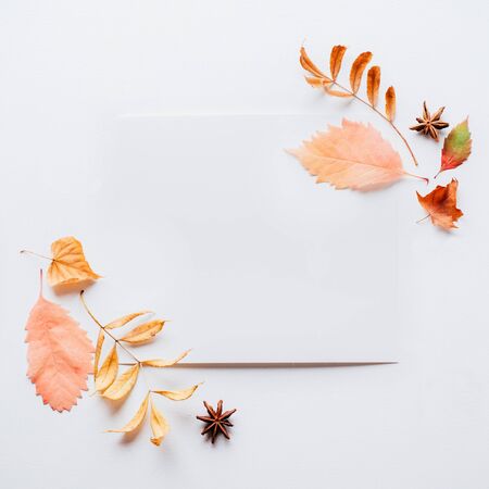 Autumn party invitation. White mockup paper sheet with foliage decoration on white background. Copy space, flat layの写真素材