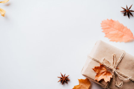 Autumn creative holiday present. Handmade paper gift box with foliage dried leaves, pine cones and nuts on white. Thanksgiving day, fall bacground. Copy spaceの写真素材
