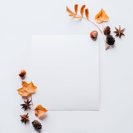 Autumn composition, thanksgiving day greeting card. White mockup paper sheet with faded floral decoration on white background. Copy space.の写真素材
