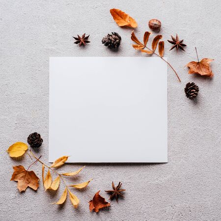Autumn festive decorations, greeting card mockupの写真素材