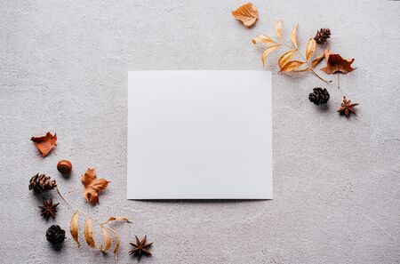 Autumn festive decorations, greeting card mockupの写真素材