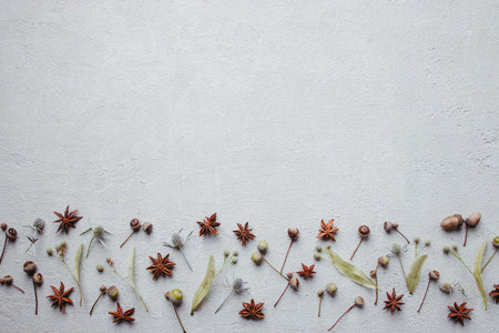 Autumn background, border of dried foliage