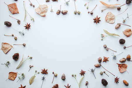 Composition of dried leaves, pine cones and acornsの写真素材
