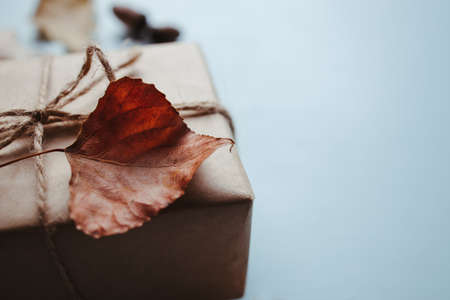 Handmade paper gift box with dried leaves decorの写真素材