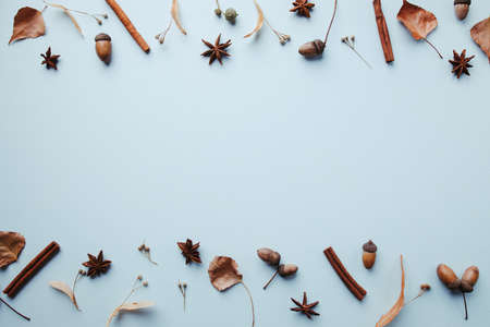 Autumn festive floral background with dry foliageの写真素材