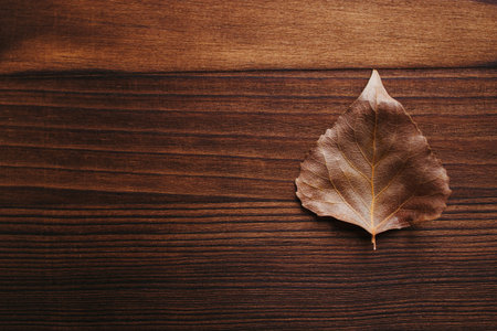 Fall floral design greeting card with dried leaf