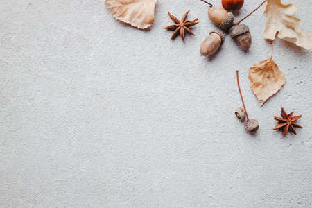 Floral design greeting card with acorns and leavesの写真素材