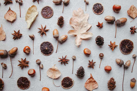 Fall pattern of dry leaves, pine cones and acornsの写真素材