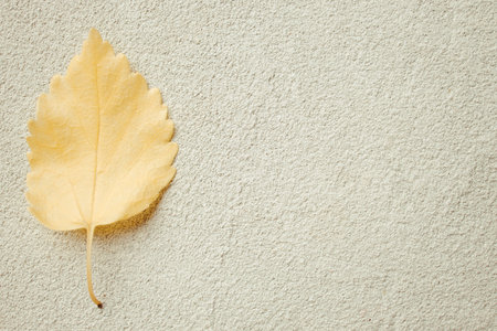 Fall floral design greeting card with yellow leaf
