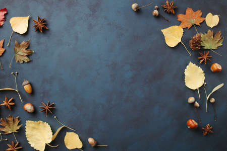 Autumn background. Frame made of fall leavesの写真素材