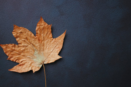 Fall floral design greeting card with yellow leaf