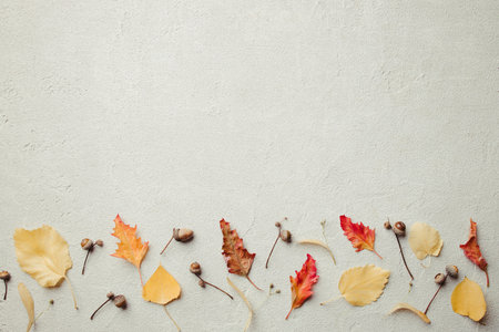 Autumn floral background. Fall leaves border