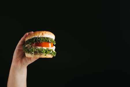 Fast food. Weight loss, diet, unhealthy eating, overeating. Hand holding hamburger copy spaceの写真素材