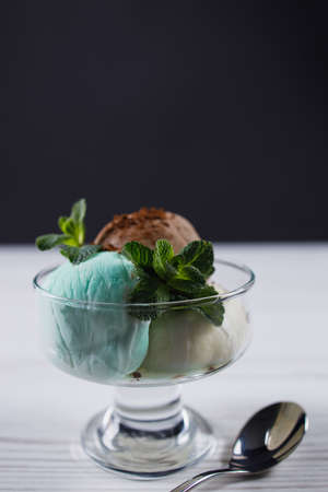 Chocolate, mint and vanilla ice-cream set in bowlの写真素材
