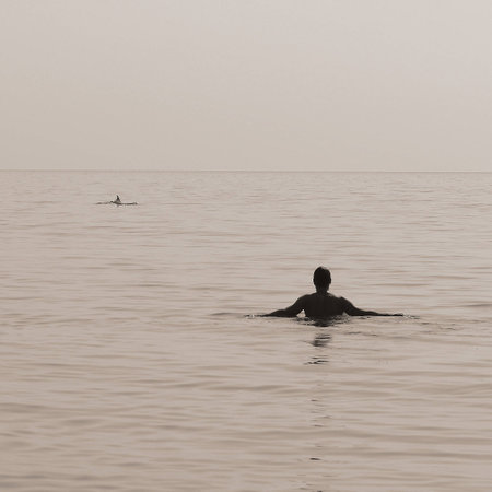 Square monochrome sepia of a swimming man in foreground with a dolphin swaying in the background.の写真素材