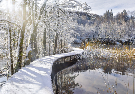 Snow-covered boardwalk over unfrozen lake with beautiful reflections in it against snowy winter forest.の写真素材