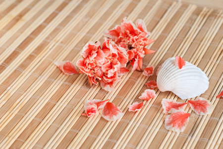 Vacations souvenirs: seashell and flowersの写真素材
