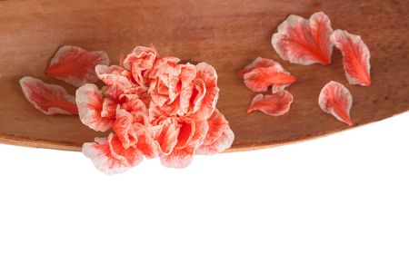 Closeup of a pomgranate flower set in a dried coco leafの写真素材