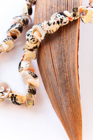 Necklace made of seashells set on a dried coco leaf