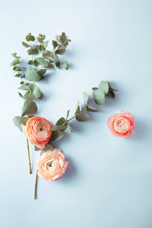 Flowers composition with pink flowers and eucalyptus branches on blue background. Flat lay, top...