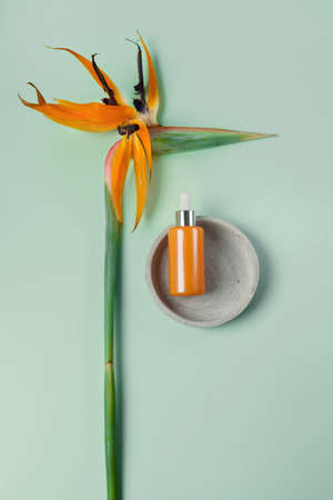 Face skin scream or serum on pale green background with exotic flower, top view flat lay. Minimalistic style, copy spaceの写真素材