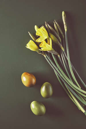 Spring yellow daffodils with naturally dyed Easter eggs on moss green background. Overhead shotの写真素材