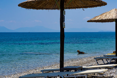 Summer beach bar in Peloponnese, Greeceの写真素材