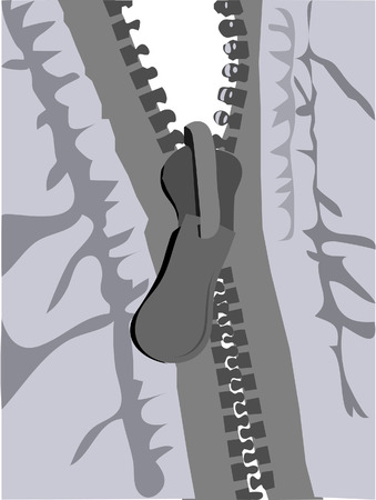 zipperのイラスト素材