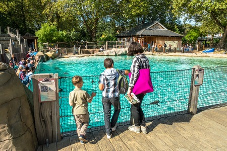 Happy family looking at humboldt penguins at the zooの写真素材