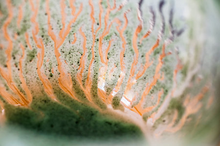 Overhead closeup view emptied glass of fresh kefir probiotik drink mixed with green spirulina powder...