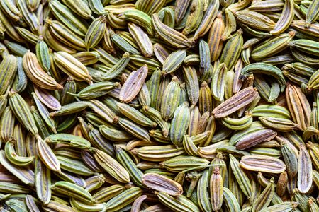 fennel seeds loose background texture ready to be brewed as teaの写真素材