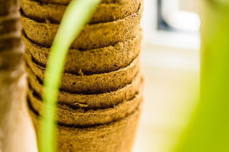 biodegradable seed pots stacked next to window ready for new season gardeningの写真素材