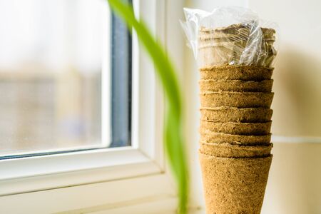 biodegradable seed pots stacked next to window ready for new season gardeningの写真素材