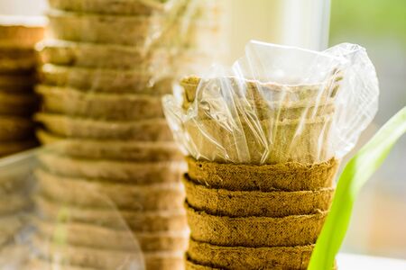 biodegradable seed pots stacked next to window ready for new season gardeningの写真素材