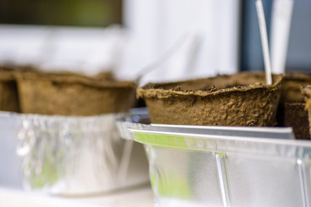 biodegradable seed pots stacked next to window under room light ready for new season gardening