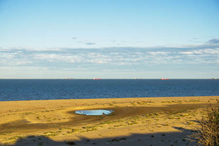beach and sand dunes at Lowestoft Suffolkの写真素材