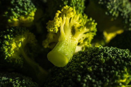 Frozen green broccoli florets on dark background closupの写真素材