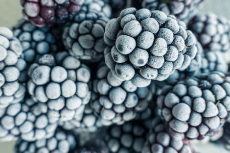 frozen frosly look blackberries closeupの写真素材