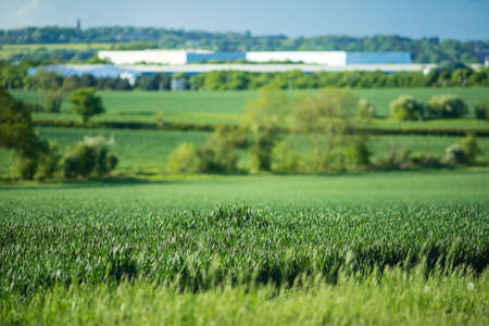 new built distribution warehouse building with farm fields in foreground in england ukの写真素材