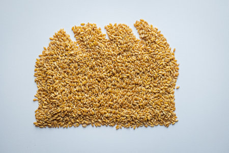 wheat grain bread loaf shape concept flat overhead viewの写真素材