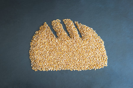 wheat grain bread loaf shape concept flat overhead view