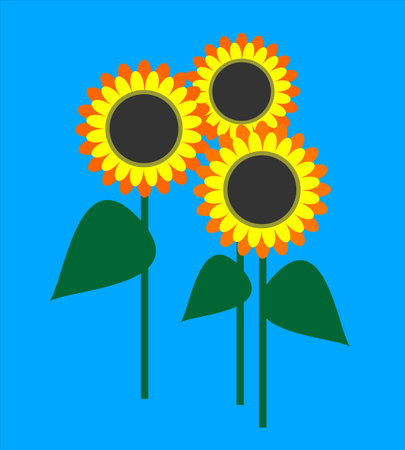 Vector illustration. Sunflowers isolated over bright  blue backgroundのイラスト素材