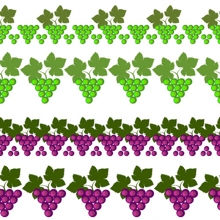 Vector fruit seamless line. Set of elements for design,  borders with grapes, isolated on white background.のイラスト素材