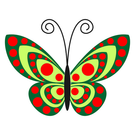 Vector illustration. Green butterfly with red dots, isolated over white backgroundのイラスト素材